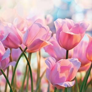 Ubrousky Pink Tulips 3400141