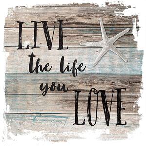 Ubrousky Live the Life 3400097