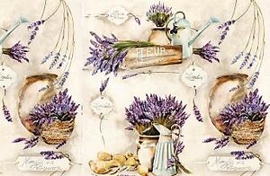 Prostírání plastové Levandule Fleur 4ks/bal 1000644