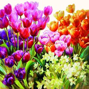 Ubrousky Barevné tulipány 3400019