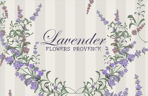 Prostírání plastové Lavender Provence 4ks/bal 43*28cm 1000683