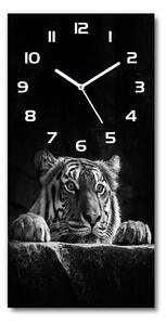 Moderní hodiny nástěnné Tygr pl_zsp_30x60_f_101258480