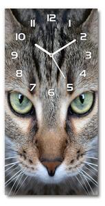 Moderní hodiny nástěnné Oči kočky pl_zsp_30x60_f_114220094