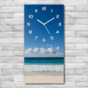 Nástěnné hodiny tiché Tropická pláž pl_zsp_30x60_f_116222008