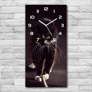Moderní hodiny nástěnné Černá kočka pl_zsp_30x60_f_119089470