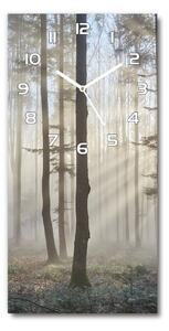 Nástěnné skleněné hodiny Mlha v lese pl_zsp_30x60_f_98968412