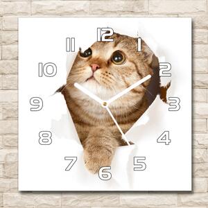Skleněné nástěnné hodiny čtverec Kočka pl_zsk_30x30_f_52539481