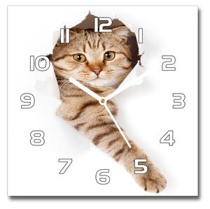 Skleněné nástěnné hodiny čtverec Kočka pl_zsk_30x30_f_52539512