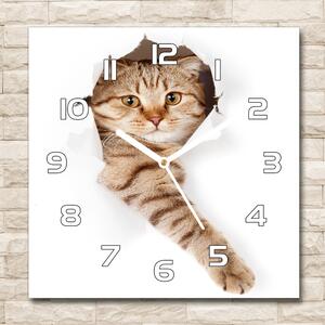 Skleněné nástěnné hodiny čtverec Kočka pl_zsk_30x30_f_52539512