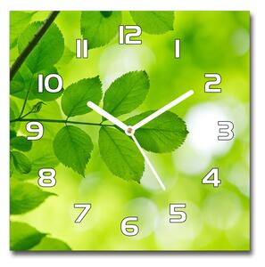 Skleněné hodiny čtverec Zelená listí pl_zsk_30x30_f_72665242