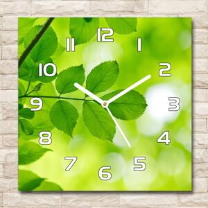 Skleněné hodiny čtverec Zelená listí pl_zsk_30x30_f_72665242