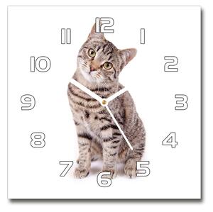 Skleněné nástěnné hodiny čtverec Kočka pl_zsk_30x30_f_78018175
