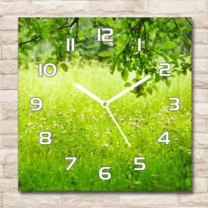 Skleněné hodiny na stěnu Zelená louka pl_zsk_30x30_f_78819198