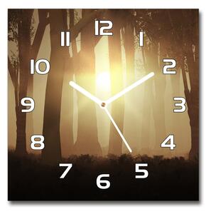 Skleněné hodiny čtverec Mlha v lese pl_zsk_30x30_f_84176608