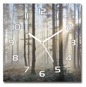 Skleněné hodiny na stěnu Mlha v lese pl_zsk_30x30_f_98968412