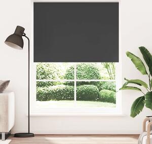 VidaXL Zatemňovací roleta 164,4 x 230 cm Šířka látky 160 cm námořnická [240178] Barva: Černá