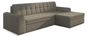 Conforti