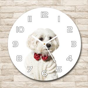 Skleněné hodiny kulaté Maltázský psík pl_zso_30_f_190626474