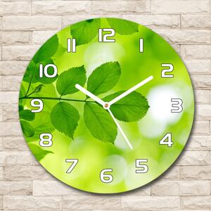 Skleněné hodiny kulaté Zelená listí pl_zso_30_f_72665242