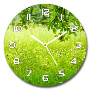 Skleněné hodiny na stěnu Zelená louka pl_zso_30_f_78819198