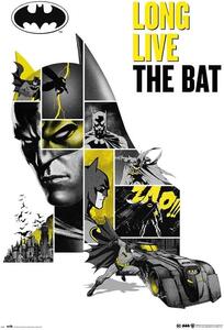 Plakát, Obraz - Batman - 80th Anniversary