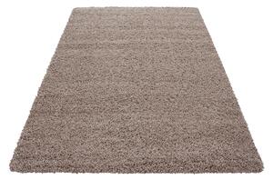 Kusový koberec Dream Shaggy 4000 beige 160x230 cm