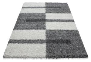 Kusový koberec Gala shaggy 2505 lightgrey 240x340 cm