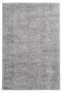 Kusový koberec Emilia 250 silver 80x150 cm