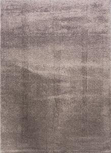 Kusový koberec Microsofty 8301 Brown 60x100 cm