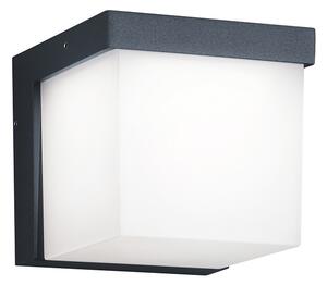 Trio Leuchten 228260142 YANGTZE - LED nástěnné venkovní svítidlo IP54, LED 4,5W, 3000K (Venkovní svítidlo na zeď v antracitové barvě )