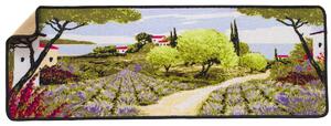 Kuchyňský koberec s potiskem, Provence
