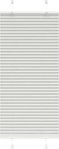 VidaXL Plisovaná roleta 60x150 cm Šířka látky 59,4 cm [4015084] Barva: světle šedá