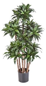 Umělá palma Dracena COMPACTA deluxe, 120cm