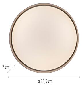 Schöner Wohnen 14593-39 - LED Stm. stropní svítidlo TAVOLI LED/10W/230V šedá+DO