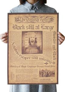 Tie Ler Plakát Harry Potter, Sirius Black č.370, 42 x 30cm