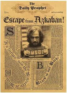 Tie Ler Plakát Harry Potter, Sirius Black č.408, A3