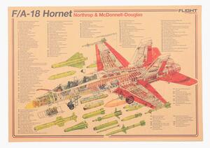 Tie Ler Plakát strážci nebes, F/A-18 Hornet, č.251, 50.5 x 36 cm