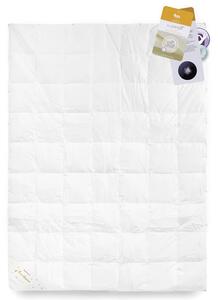 Přikrývka Basic husí peří 70% 155x200cm