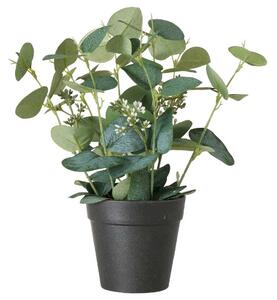 Umělá rostlina SAGE, eukalyptus v květináči, 30 cm