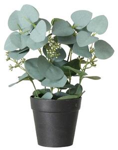 Umělá rostlina SAGE, eukalyptus v květináči, 30 cm