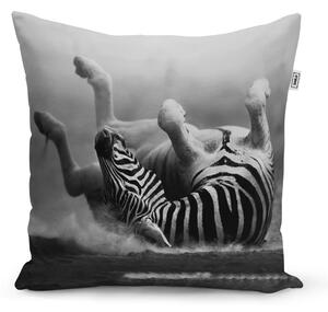 Sablio Polštář Válející se zebra - 40x40 cm