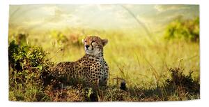 Sablio Ručník Gepard - 30x50 cm