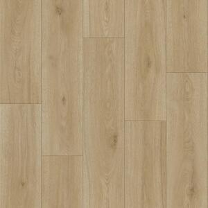 PVC Revolution - Maison 5 3 m