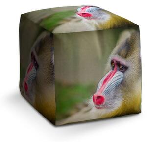 Sablio Taburet Cube Mandril - 40x40x40 cm