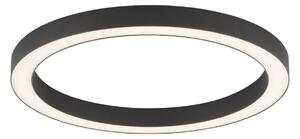 Stropní Lampa PURE, PURE Lines Round, stmívatelné, Černá, Obývací pokoj, Kov, Moderní