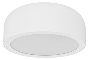 Open Design OR85884- LED Stropní svítidlo CEDRONE LED/8W/230V CCT pr. 12 cm bílá