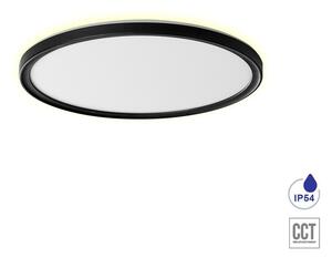 CORDIA stropní svítidlo LED 12W 1080lm 3000K-6000K 22,5cm, IP54 kulaté, černé