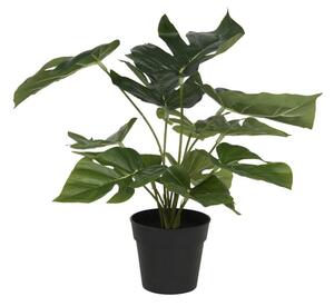 Clayre eff Monstera Deliciosa v květináči