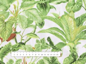 Bavlněná látka/plátno Sandra SA-297 Zelené pokojové rostliny na bílém - šířka 160 cm