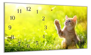 Nástěnné hodiny 30x60cm kotě v trávě a motýlem - plexi